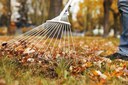 Clean up the Library Grounds