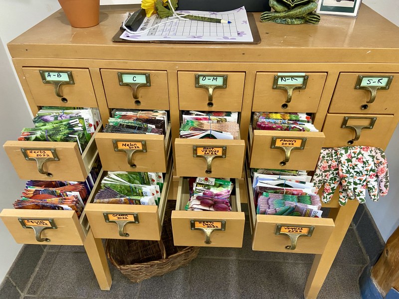 January- Start your microgreens with the BIDL Seed Library